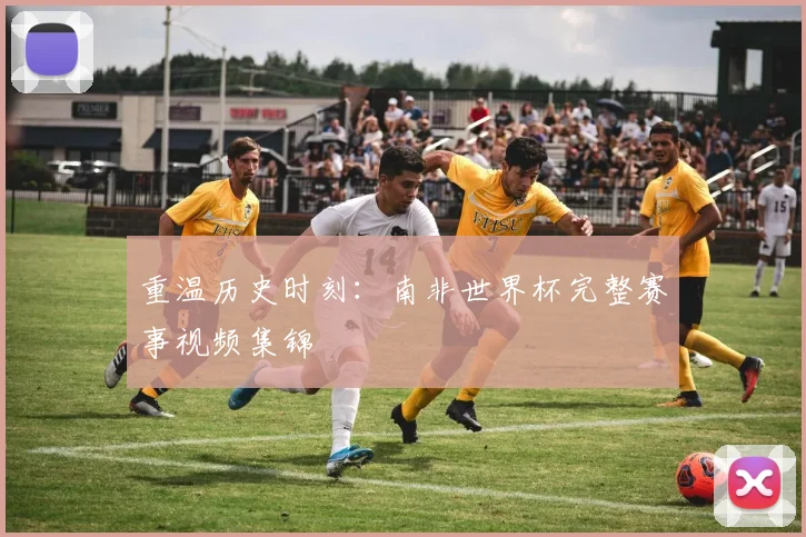 重温历史时刻：南非世界杯完整赛事视频集锦