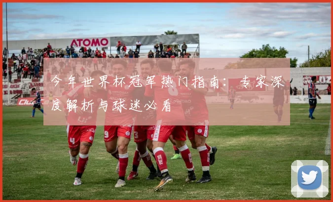 今年世界杯冠军热门指南：专家深度解析与球迷必看