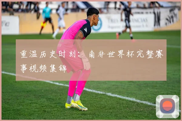重温历史时刻：南非世界杯完整赛事视频集锦