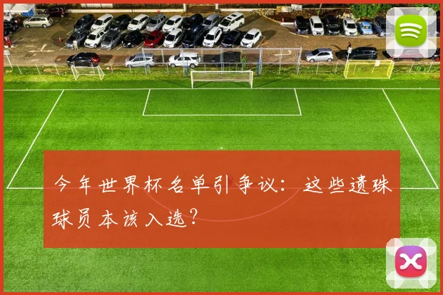今年世界杯名单引争议：这些遗珠球员本该入选？