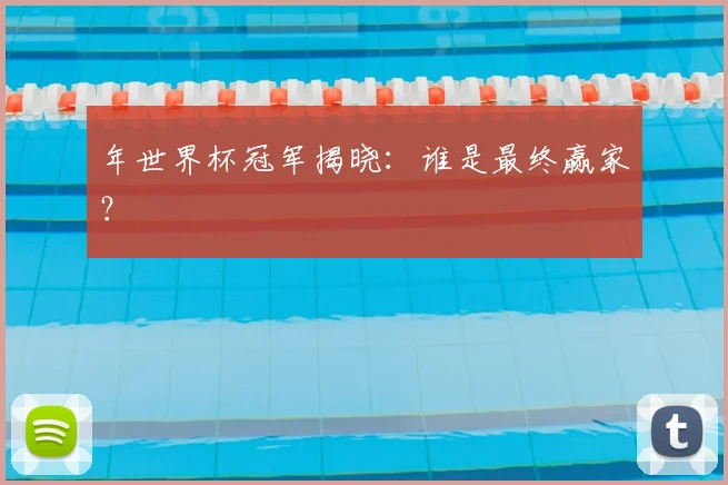年世界杯冠军揭晓:谁是最终赢家?