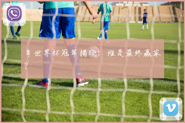 年世界杯冠军揭晓：谁是最终赢家？